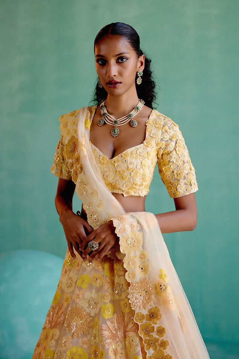 AVNI Lehanga Set