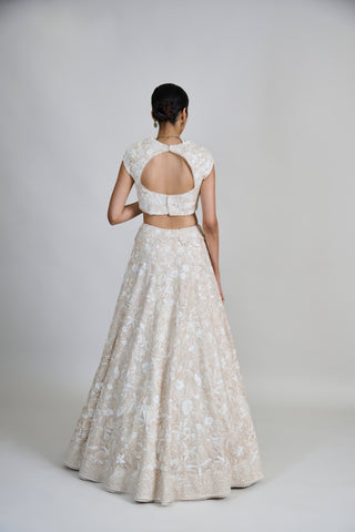 Emma Lehenga Set