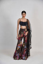 Dianthus Sharara set