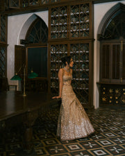 Zyra Lehenga Set